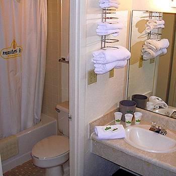 Motel 6 Columbia - University Of South Carolina Room photo
